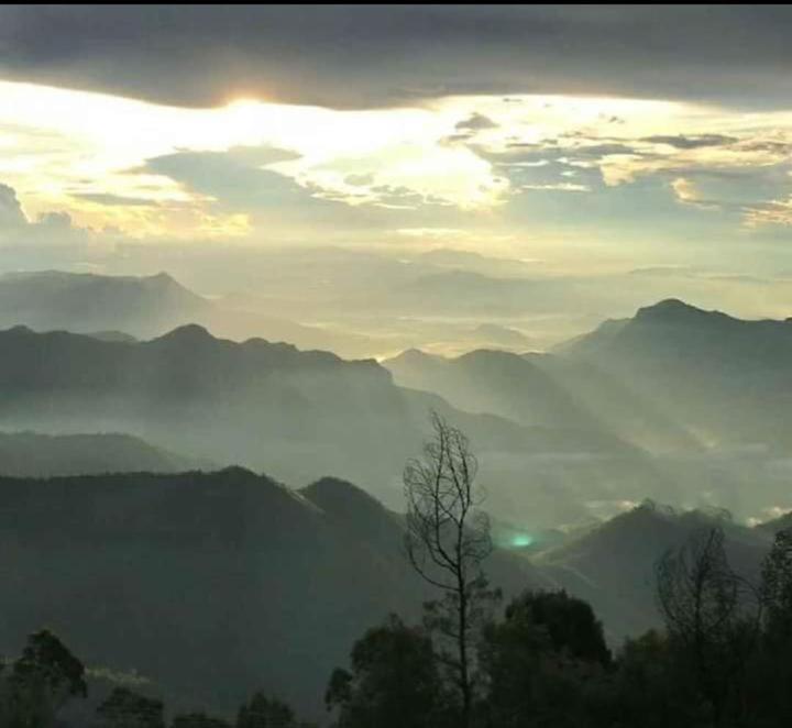 Praveen'S Wood House Kodaikanal Vattakanal מראה חיצוני תמונה