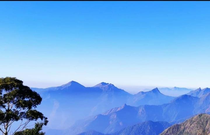 Praveen'S Wood House Kodaikanal Vattakanal מראה חיצוני תמונה